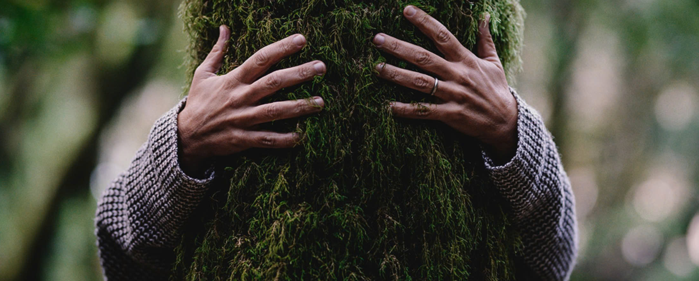 Bản sắc thương hiệu La ChomB