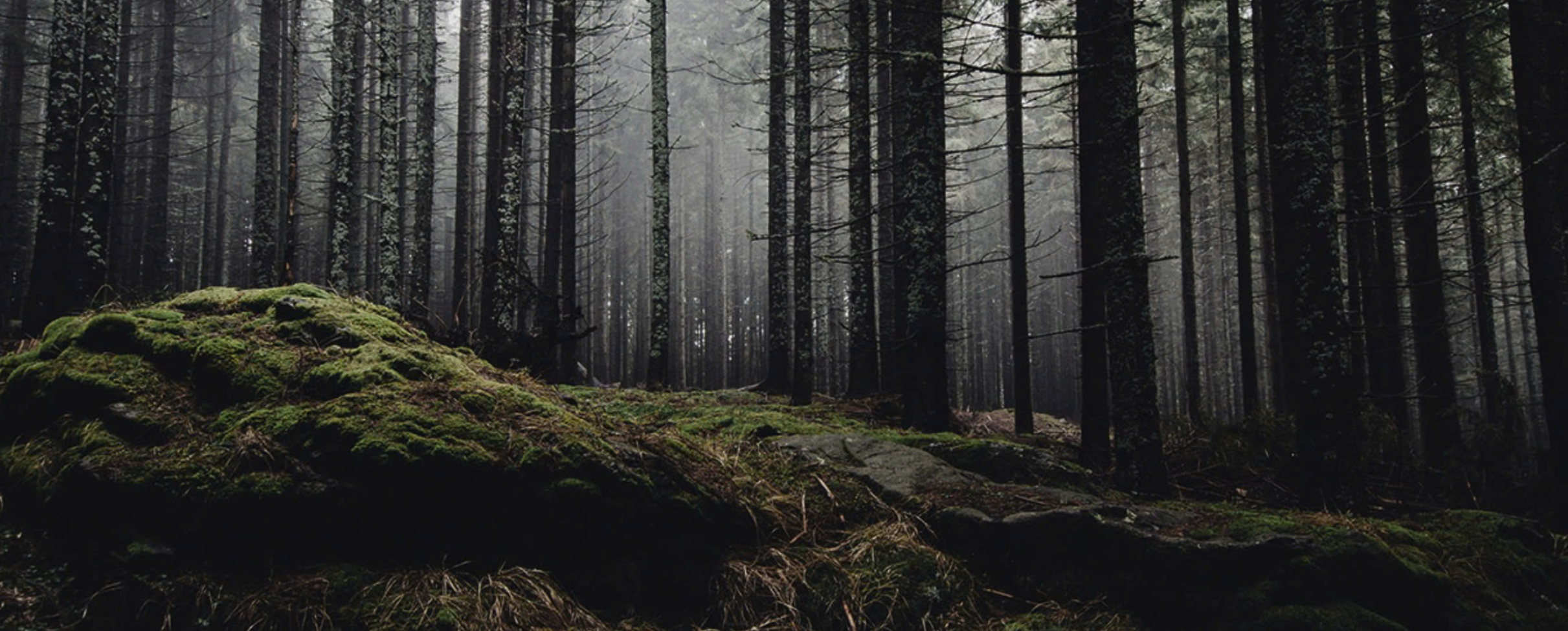 Triết lý chăm sóc da La ChomB